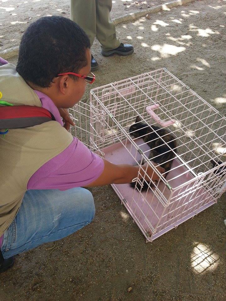 Rescate de gato abandonado en el Polideportivo de Santa Marta | Foto: Fundación Ama - Amigos del mundo animal