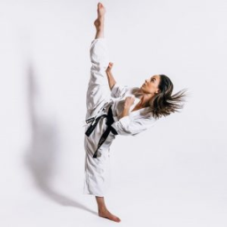 salud y taekwondo